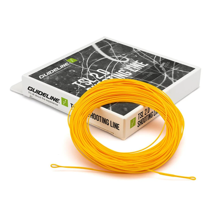 Guideline TSL 2.0 DC 2 Guideline TSL 2.0 DC – Bild 2