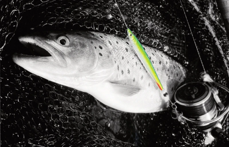 Fladen Silver Chaser 18g 2 Fladen Silver Chaser 18g – Bild 2