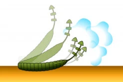 Deps Bull Flat 3.8'' -Angeln Verkaufsgeschäft D BF38 18r 6