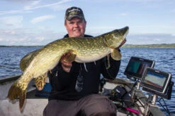 Eastfield Wingman 21cm, 80g 7 Eastfield Wingman 21cm, 80g -Angeln Verkaufsgeschäft EFLW001r 2