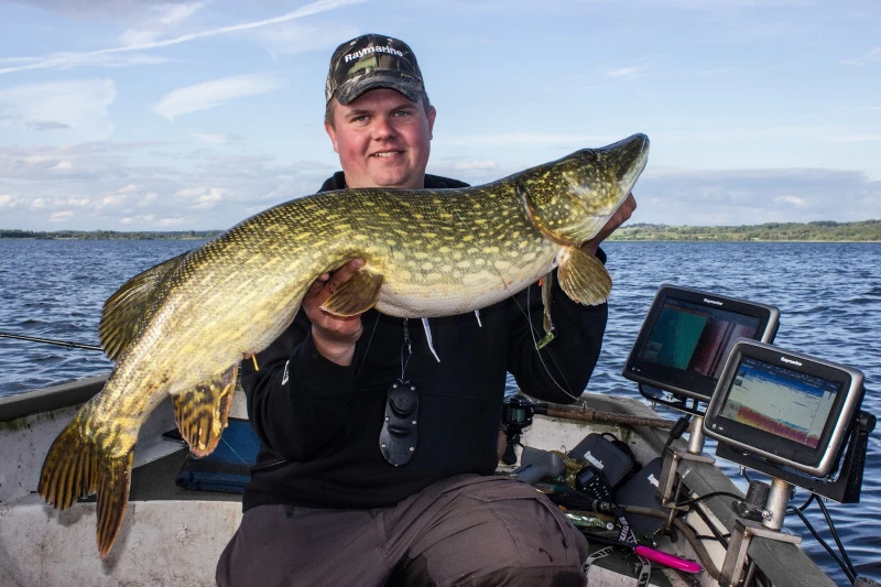 Eastfield Wingman 21cm, 80g 2 Eastfield Wingman 21cm, 80g – Bild 2