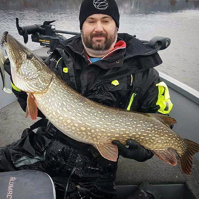 Eastfield Wingman 21cm, 80g 3 Eastfield Wingman 21cm, 80g – Bild 3