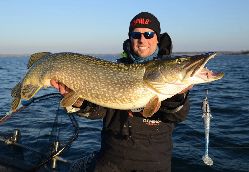 Eastfield Wingman 21cm, 80g 4 Eastfield Wingman 21cm, 80g – Bild 4