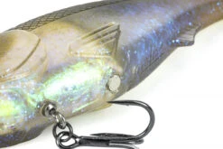 Molix Hybrid Swimmer 16,5cm, 70g -Angeln Verkaufsgeschäft HS165 102r 3