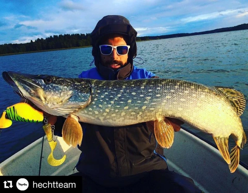 Headbanger Tail 4 Headbanger Tail – Bild 4