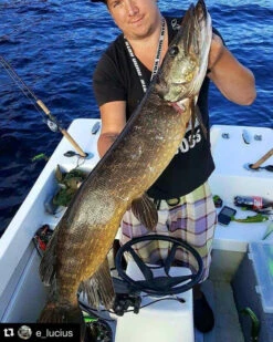 Headbanger Tail 10 Headbanger Tail -Angeln Verkaufsgeschäft Headbangertailr 5