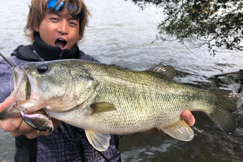 Megabass Vibration-X Dyna (Rattle In) 2 Megabass Vibration-X Dyna (Rattle In) – Bild 2