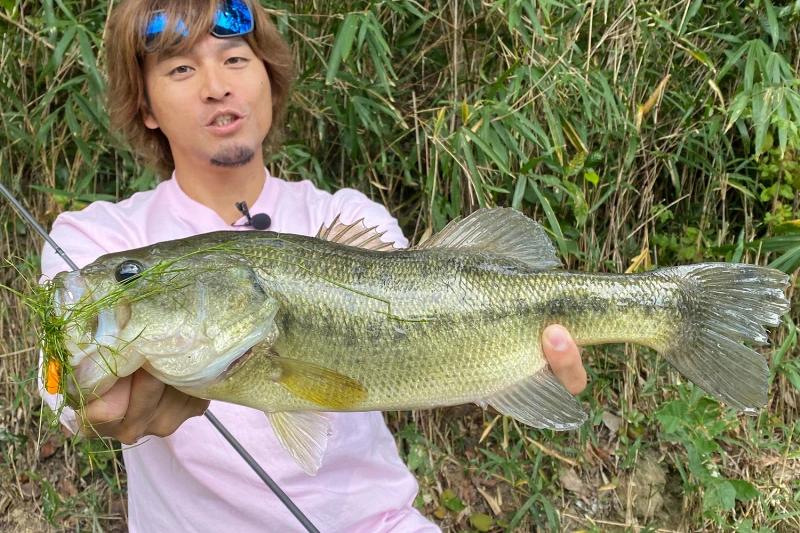 Megabass Vibration-X Dyna (Rattle In) 3 Megabass Vibration-X Dyna (Rattle In) – Bild 3