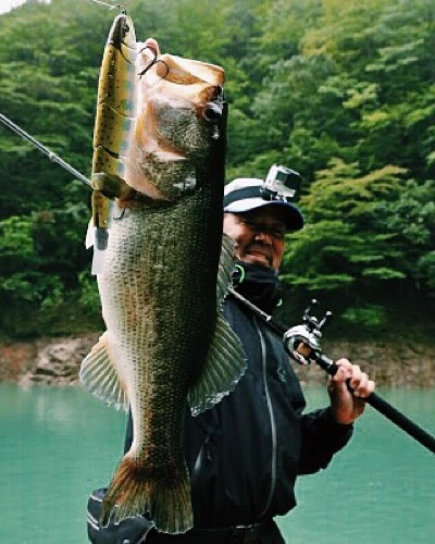 Madness Japan Balam Swimbait 2 Madness Japan Balam Swimbait – Bild 2