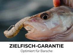 Jaeger Phox 7,6cm (8pcs) -Angeln Verkaufsgeschäft PRC PHO 06 1r 5