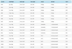 Vision Attack WF -Angeln Verkaufsgeschäft VC3Fr 3