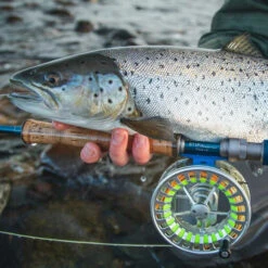 Vision Stifu Flyrod -Angeln Verkaufsgeschäft VFU4967r 3